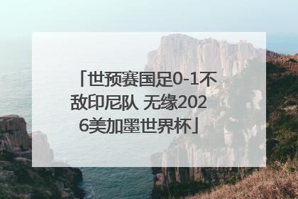 世预赛国足0-1不敌印尼队 无缘2026美加墨世界杯