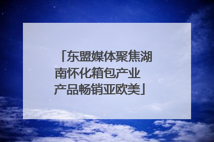东盟媒体聚焦湖南怀化箱包产业 产品畅销亚欧美