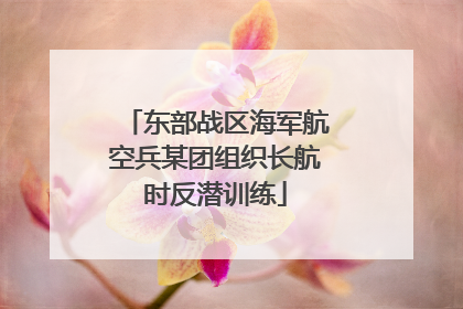 东部战区海军航空兵某团组织长航时反潜训练