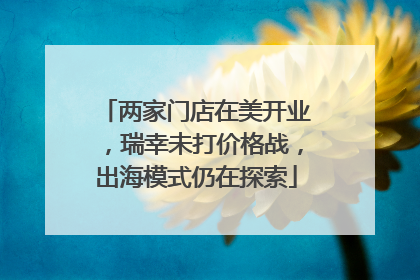 两家门店在美开业，瑞幸未打价格战，出海模式仍在探索