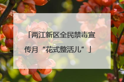 两江新区全民禁毒宣传月“花式整活儿”