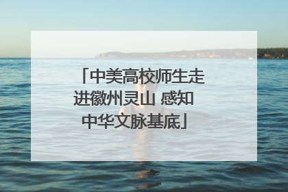 中美高校师生走进徽州灵山 感知中华文脉基底