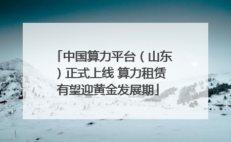 中国算力平台（山东）正式上线 算力租赁有望迎黄金发展期