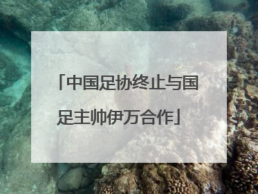 中国足协终止与国足主帅伊万合作