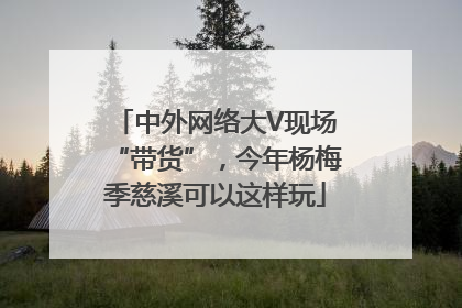 中外网络大V现场“带货”，今年杨梅季慈溪可以这样玩