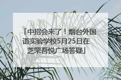中招会来了！烟台外国语实验学校5月25日在芝罘吾悦广场答疑