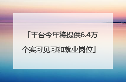 丰台今年将提供6.4万个实习见习和就业岗位
