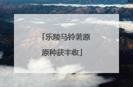 乐陵马铃薯原原种获丰收