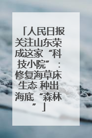 人民日报关注山东荣成这家“科技小院”：修复海草床生态 种出海底“森林”