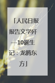 人民日报报告文学歼—10诞生记：龙腾东方