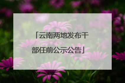 云南两地发布干部任前公示公告