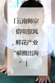 云南师宗：借电驭风，鲜花产业“破圈出海”