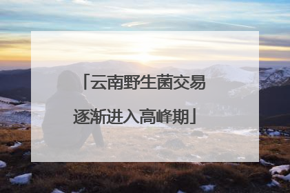 云南野生菌交易逐渐进入高峰期