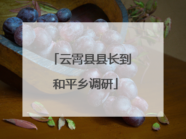 云霄县县长到和平乡调研