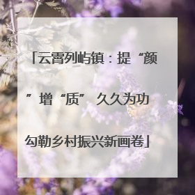 云霄列屿镇：提“颜”增“质” 久久为功勾勒乡村振兴新画卷