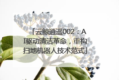 云鲸逍遥002：AI驱动清洁革命，重构扫地机器人技术范式