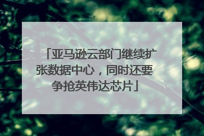 亚马逊云部门继续扩张数据中心，同时还要争抢英伟达芯片