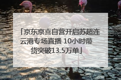 京东京喜自营开启苏超连云港专场直播 10小时带货突破13.5万单