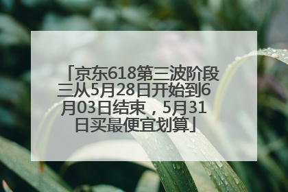 京东618第三波阶段三从5月28日开始到6月03日结束，5月31日买最便宜划算