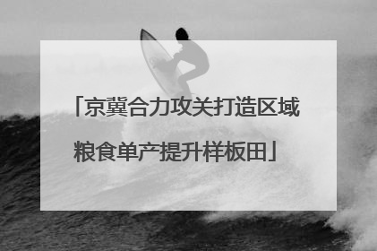 京冀合力攻关打造区域粮食单产提升样板田