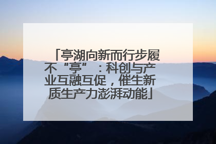 亭湖向新而行步履不“亭”：科创与产业互融互促，催生新质生产力澎湃动能
