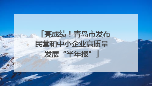 亮成绩！青岛市发布民营和中小企业高质量发展“半年报”