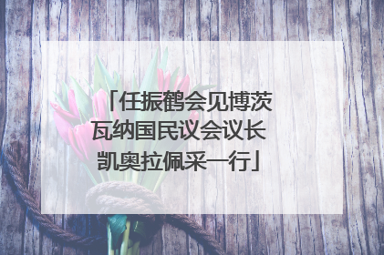 任振鹤会见博茨瓦纳国民议会议长凯奥拉佩采一行