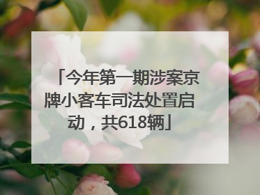 今年第一期涉案京牌小客车司法处置启动，共618辆