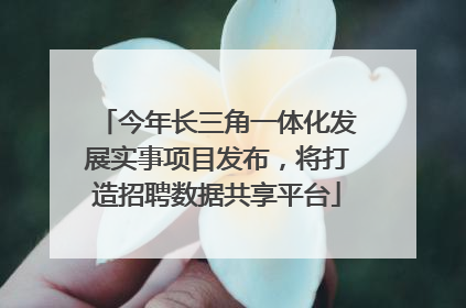 今年长三角一体化发展实事项目发布，将打造招聘数据共享平台