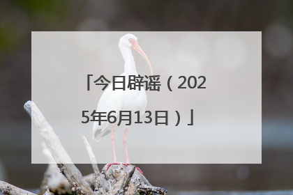 今日辟谣（2025年6月13日）