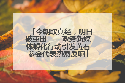 今朝取真经，明日破茧出——政务新媒体孵化行动引发黄石参会代表热烈反响