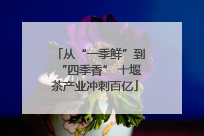 从“一季鲜”到“四季香” 十堰茶产业冲刺百亿