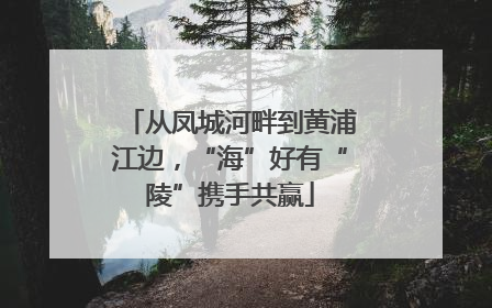 从凤城河畔到黄浦江边，“海”好有“陵”携手共赢