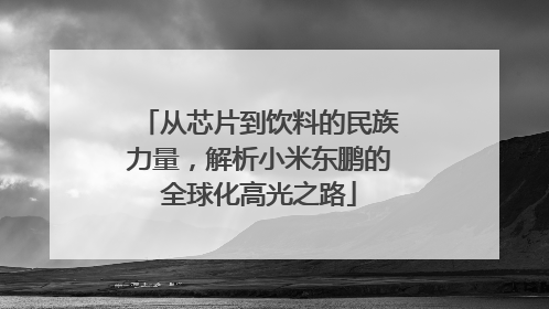从芯片到饮料的民族力量，解析小米东鹏的全球化高光之路