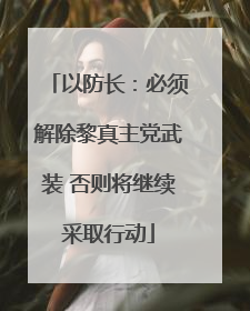 以防长：必须解除黎真主党武装 否则将继续采取行动