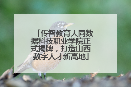 传智教育大同数据科技职业学院正式揭牌，打造山西数字人才新高地