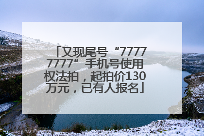 又现尾号“77777777”手机号使用权法拍，起拍价130万元，已有人报名