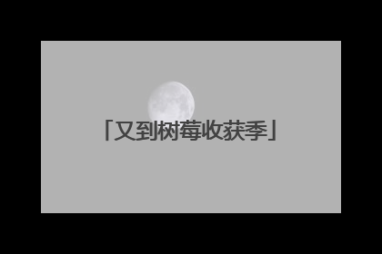 又到树莓收获季