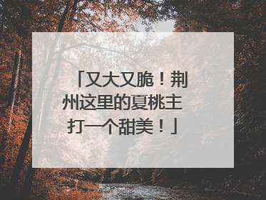 又大又脆！荆州这里的夏桃主打一个甜美！