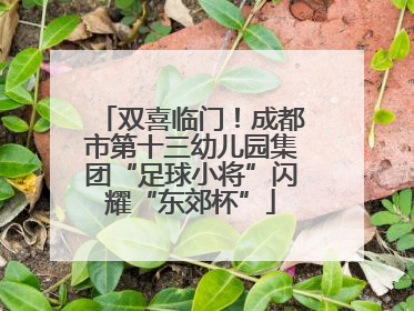 双喜临门！成都市第十三幼儿园集团“足球小将”闪耀“东郊杯”