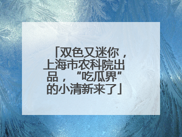 双色又迷你，上海市农科院出品，“吃瓜界”的小清新来了