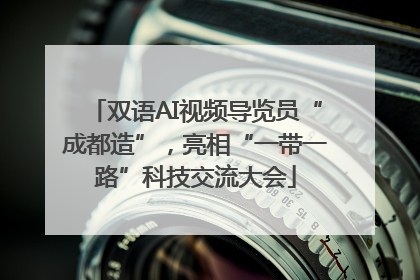 双语AI视频导览员“成都造”，亮相“一带一路”科技交流大会