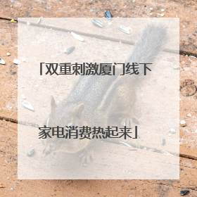 双重刺激厦门线下家电消费热起来