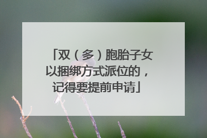 双（多）胞胎子女以捆绑方式派位的，记得要提前申请