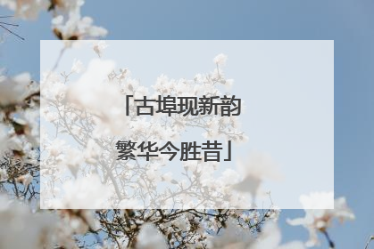 古埠现新韵 繁华今胜昔