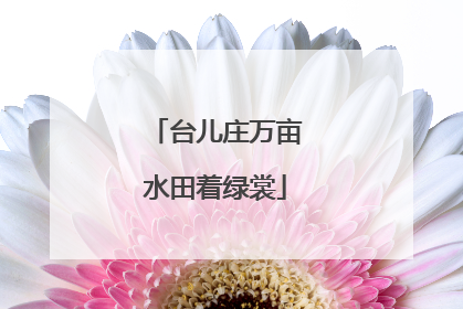 台儿庄万亩水田着绿裳