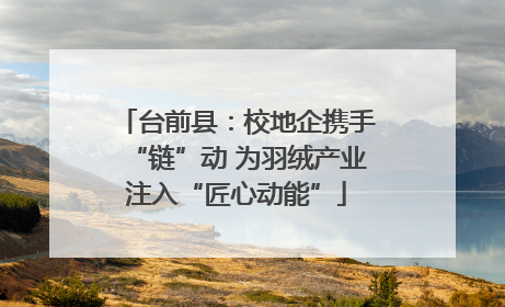 台前县：校地企携手“链”动 为羽绒产业注入“匠心动能”