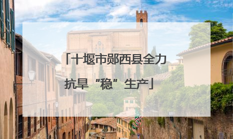 十堰市郧西县全力抗旱“稳”生产