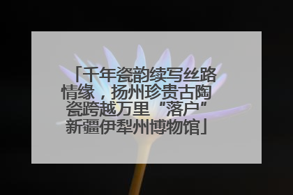千年瓷韵续写丝路情缘，扬州珍贵古陶瓷跨越万里“落户”新疆伊犁州博物馆