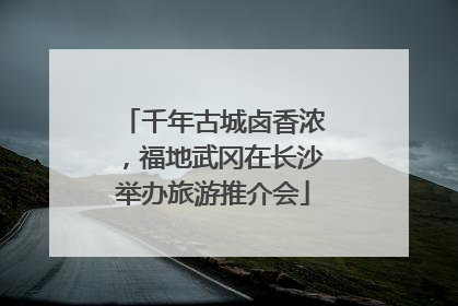 千年古城卤香浓，福地武冈在长沙举办旅游推介会